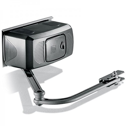 CAME 119RID123 - Prvý prevod motora pre FERNI F1000, 