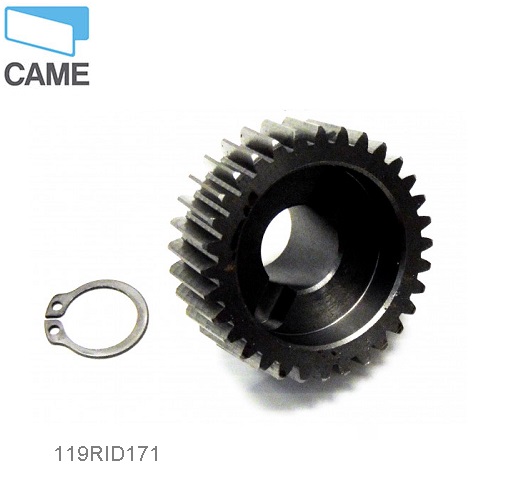CAME 119RID171- prevodového kolo motora KRONO