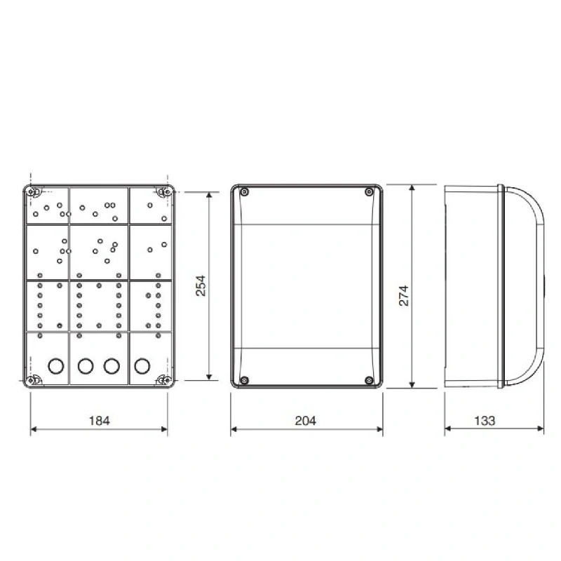 CAME ZF1N elektronika pre 2-krídlové brány 230V 