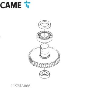 CAME 119RIA066 Veľké prevodové koleso - FROG - J
