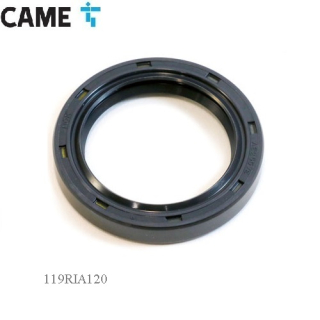 CAME 119RIA120 Olejové tesnenie motor FROG A