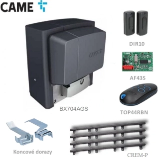 CAME BX704AGS - 1x BX-704AGS, 1x ZBX7N, 1x DIR-10, 1x AF-43-S, 1x TOP44RBN, 4x CREM-P, 400 kg
