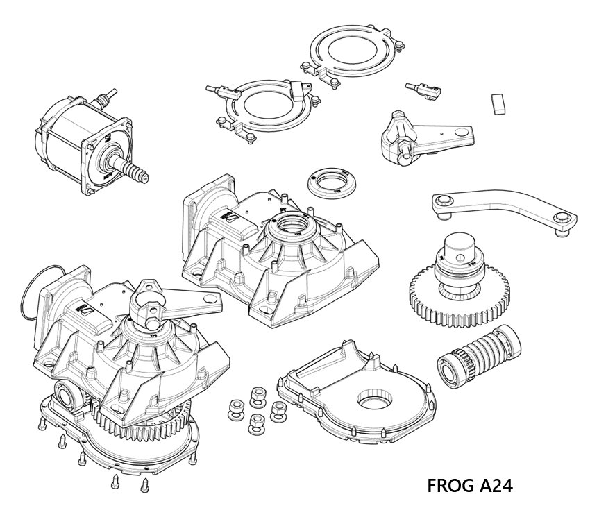 FROG A24